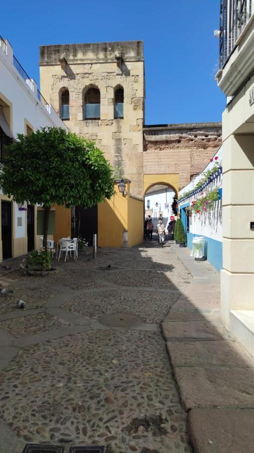 Alcazar Viejo Parking Tourist Cordobaアパートメント エクステリア 写真